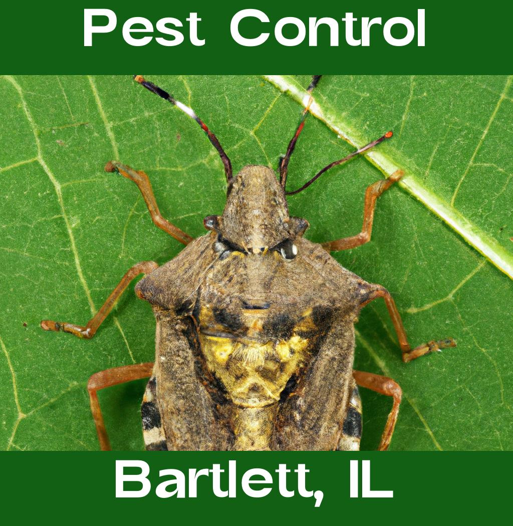 pest control in Bartlett Illinois
