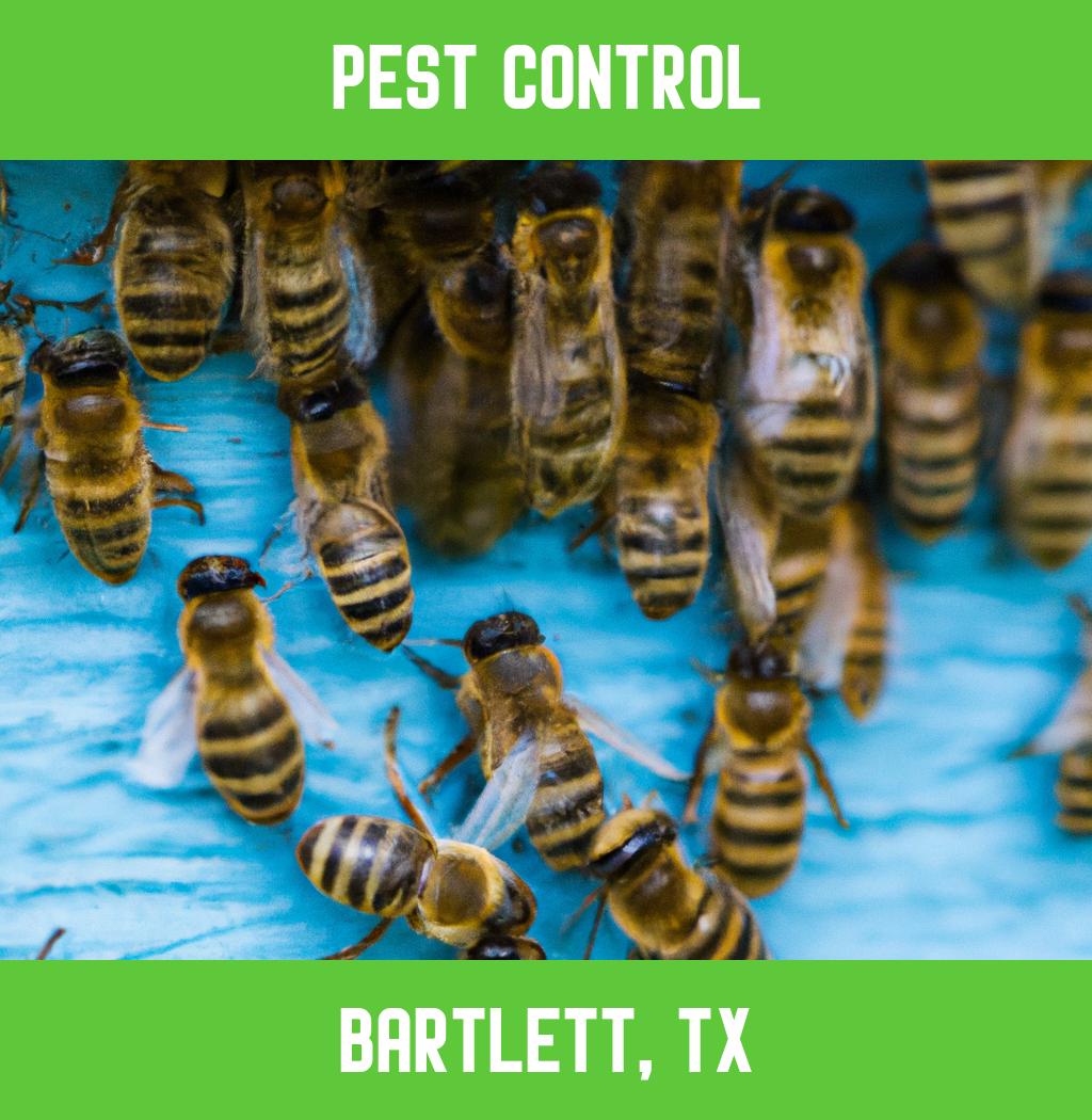 pest control in Bartlett Texas