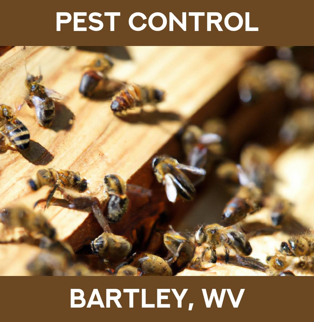 pest control in Bartley West Virginia