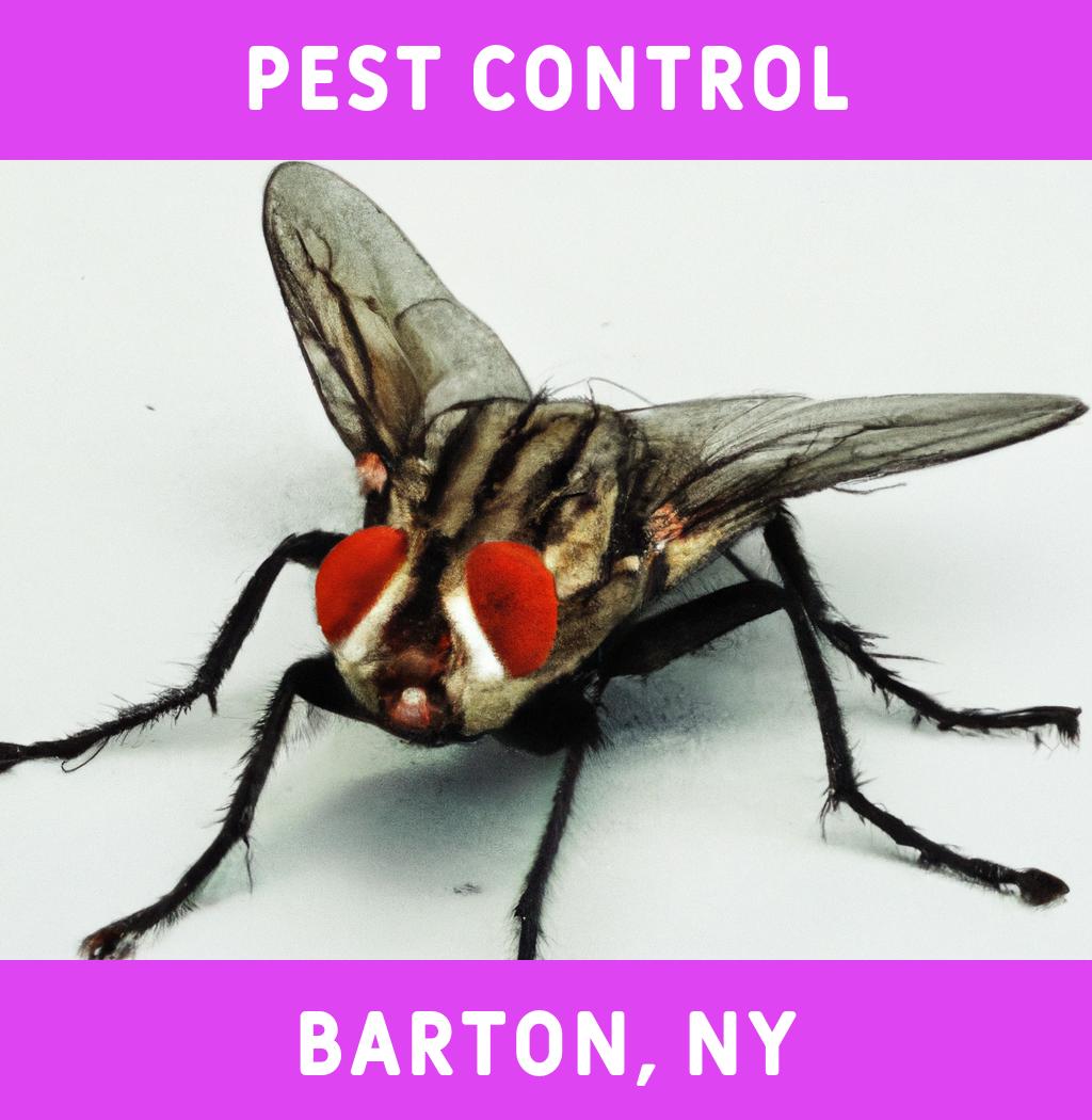 pest control in Barton New York