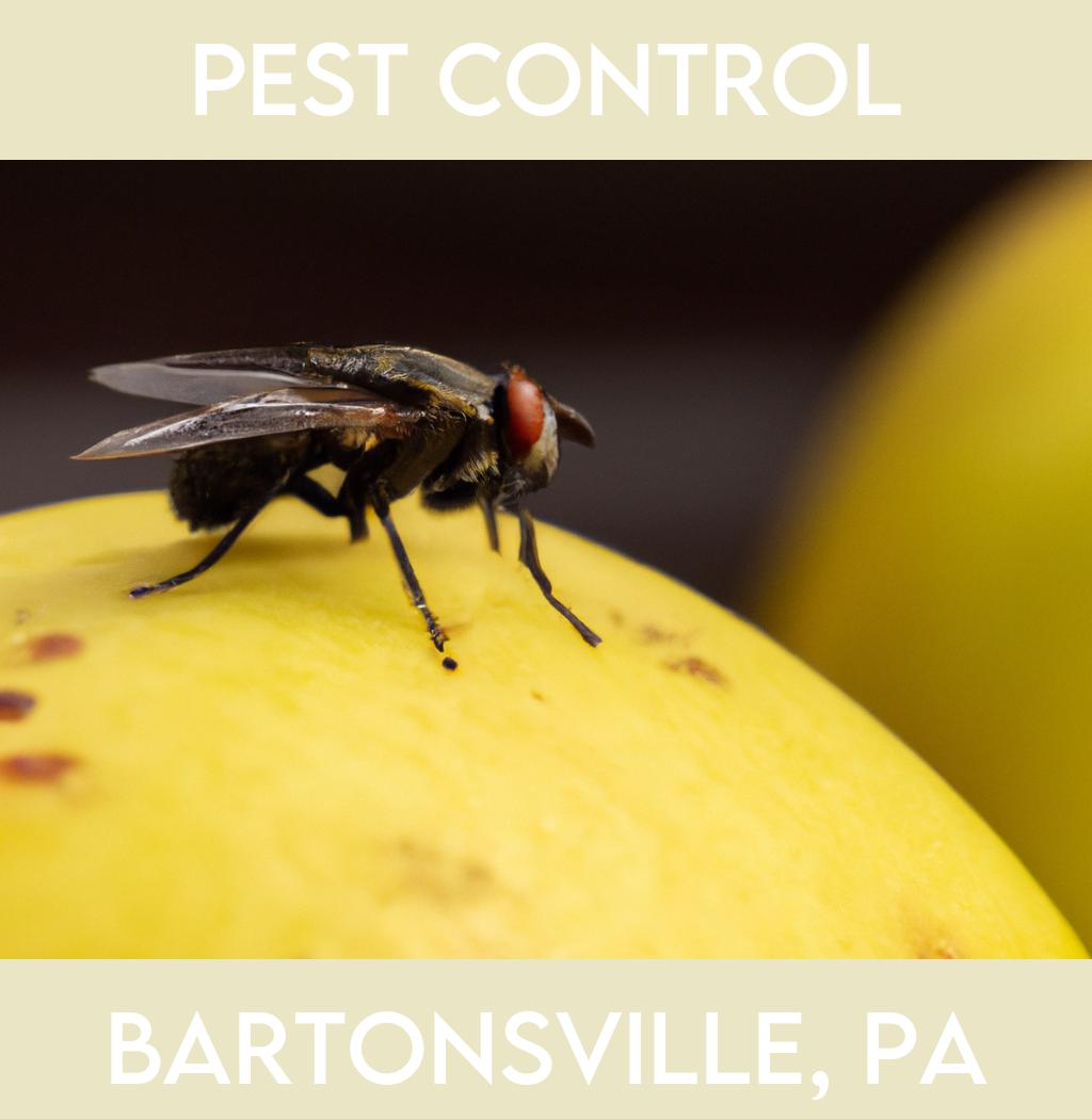 pest control in Bartonsville Pennsylvania