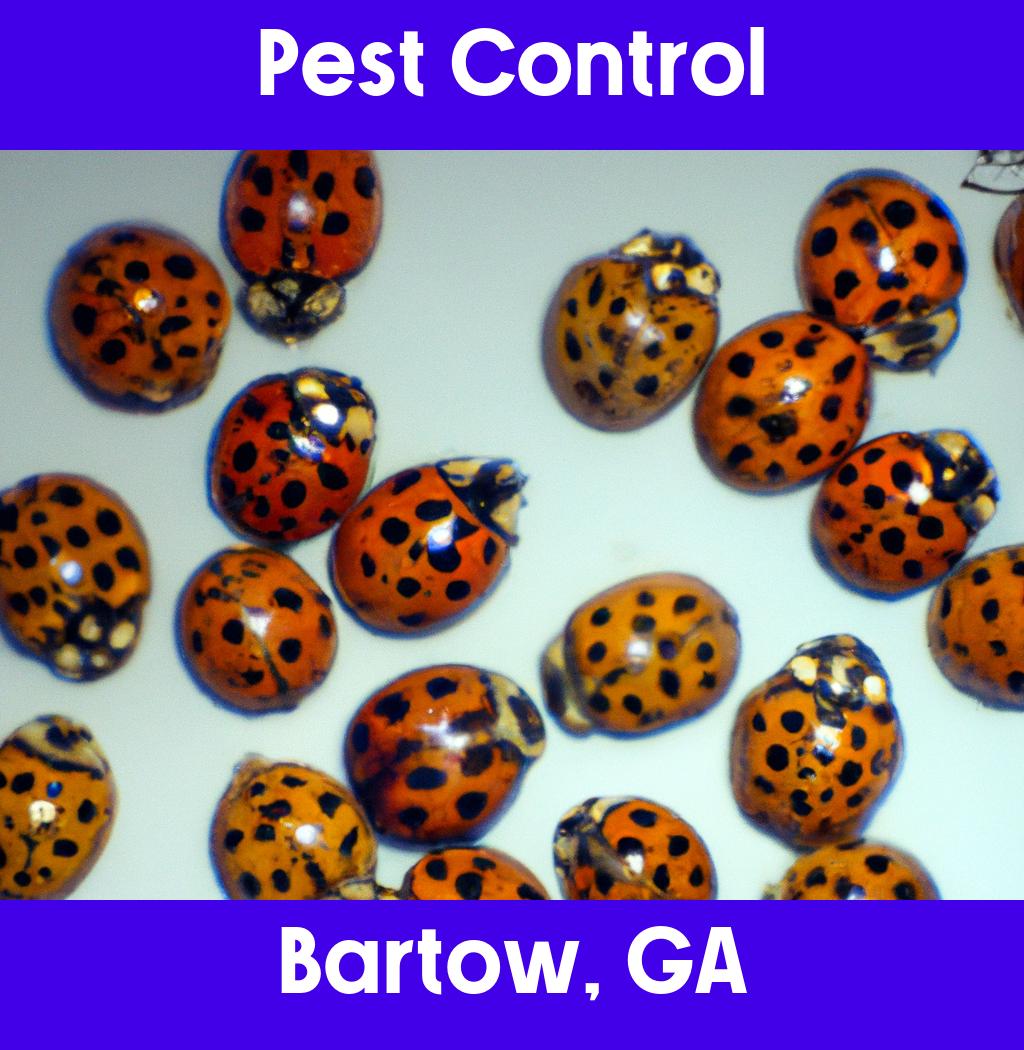 pest control in Bartow Georgia
