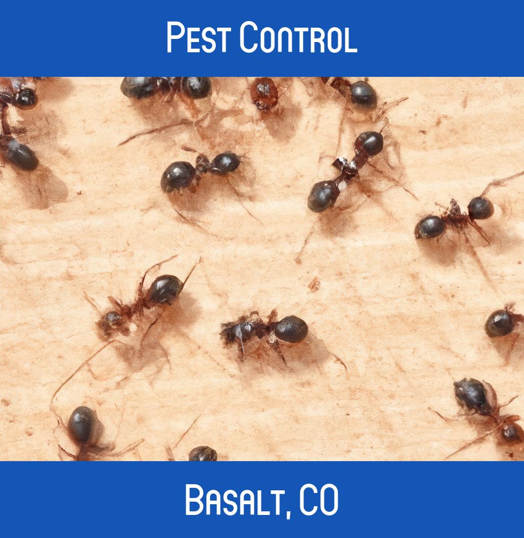 pest control in Basalt Colorado