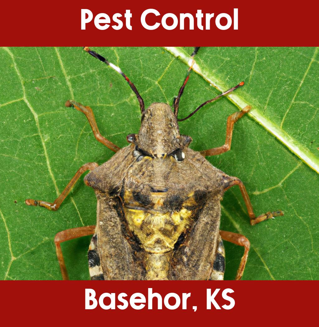 pest control in Basehor Kansas