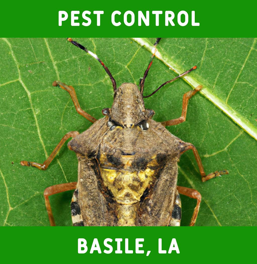 pest control in Basile Louisiana