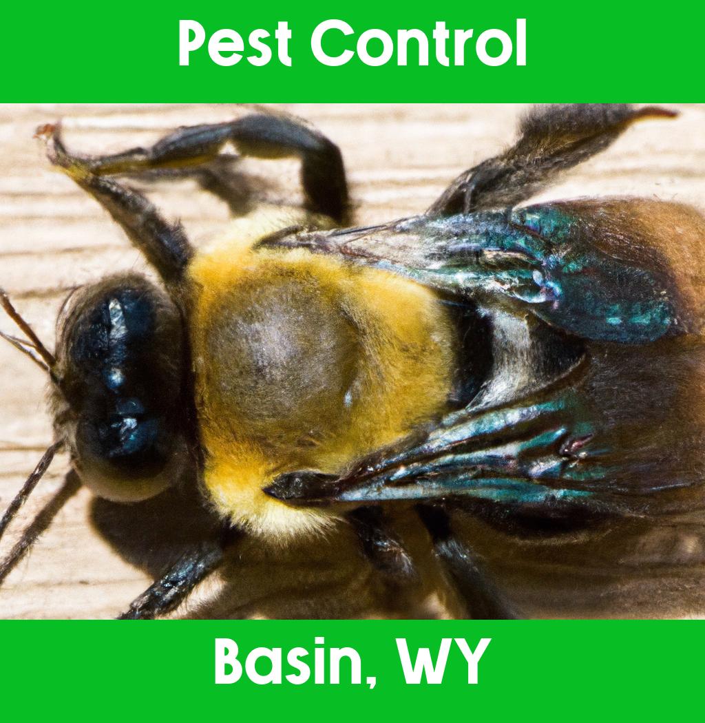 pest control in Basin Wyoming
