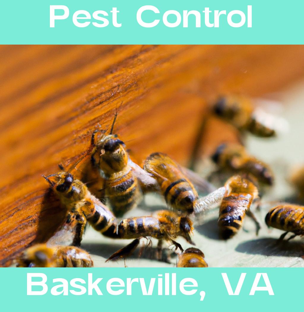pest control in Baskerville Virginia