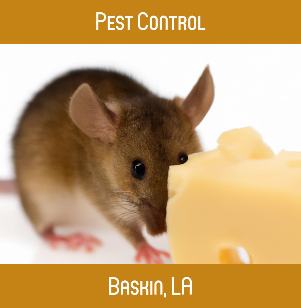 pest control in Baskin Louisiana