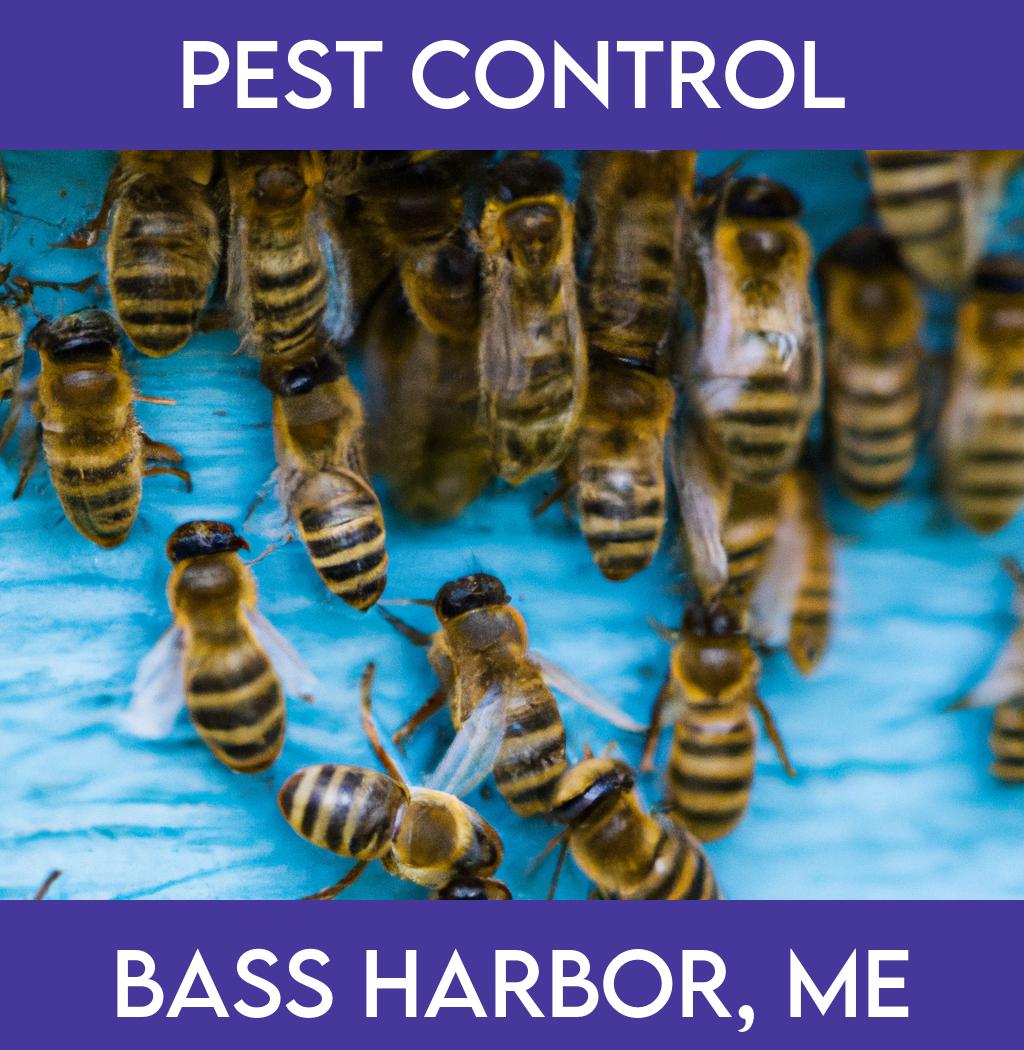 pest control in Bass Harbor Maine