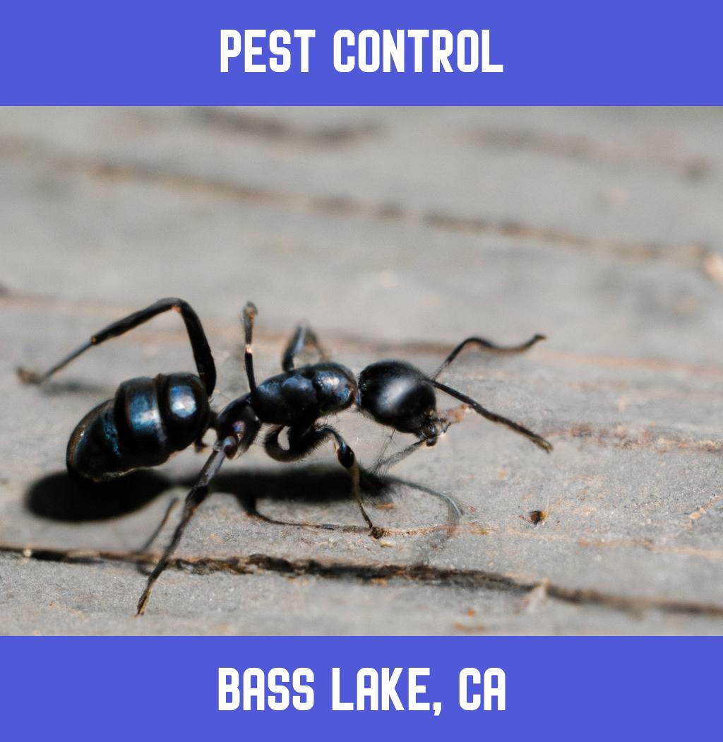 pest control in Bass Lake California