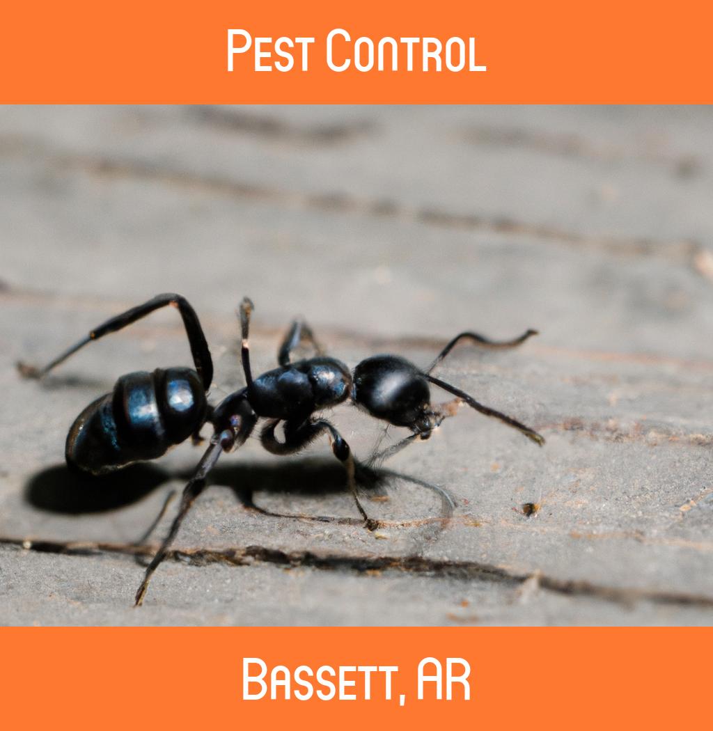 pest control in Bassett Arkansas