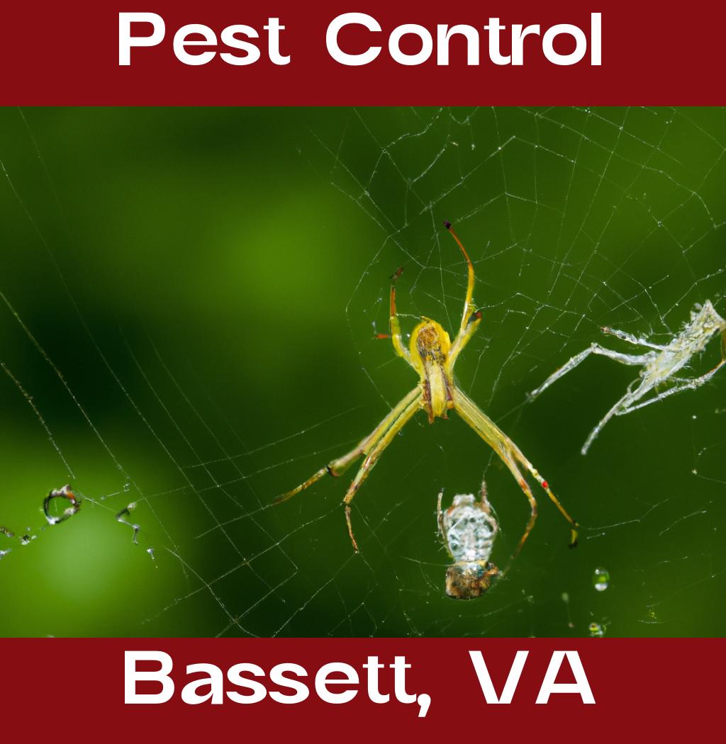 pest control in Bassett Virginia