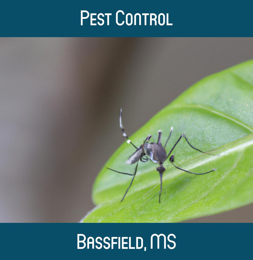 pest control in Bassfield Mississippi