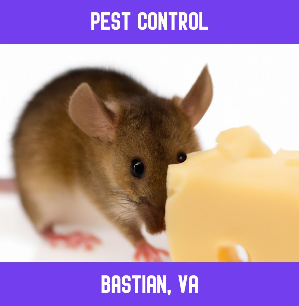 pest control in Bastian Virginia