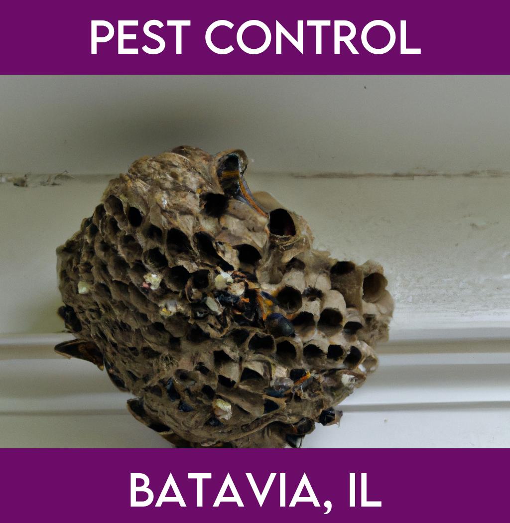 pest control in Batavia Illinois