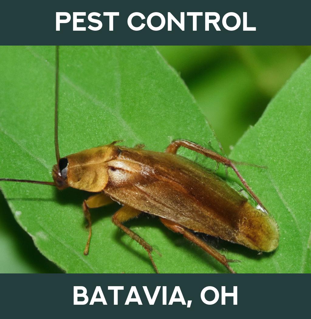 pest control in Batavia Ohio