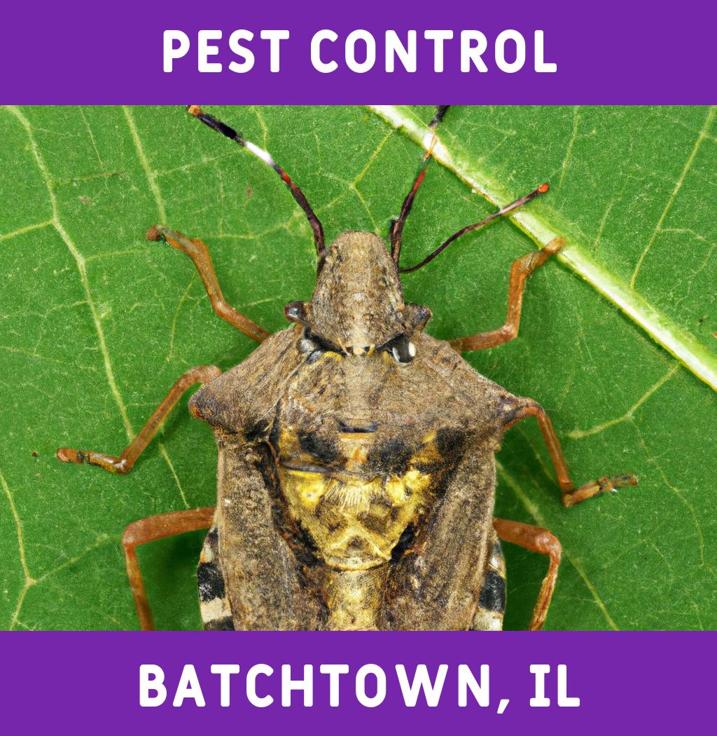 pest control in Batchtown Illinois