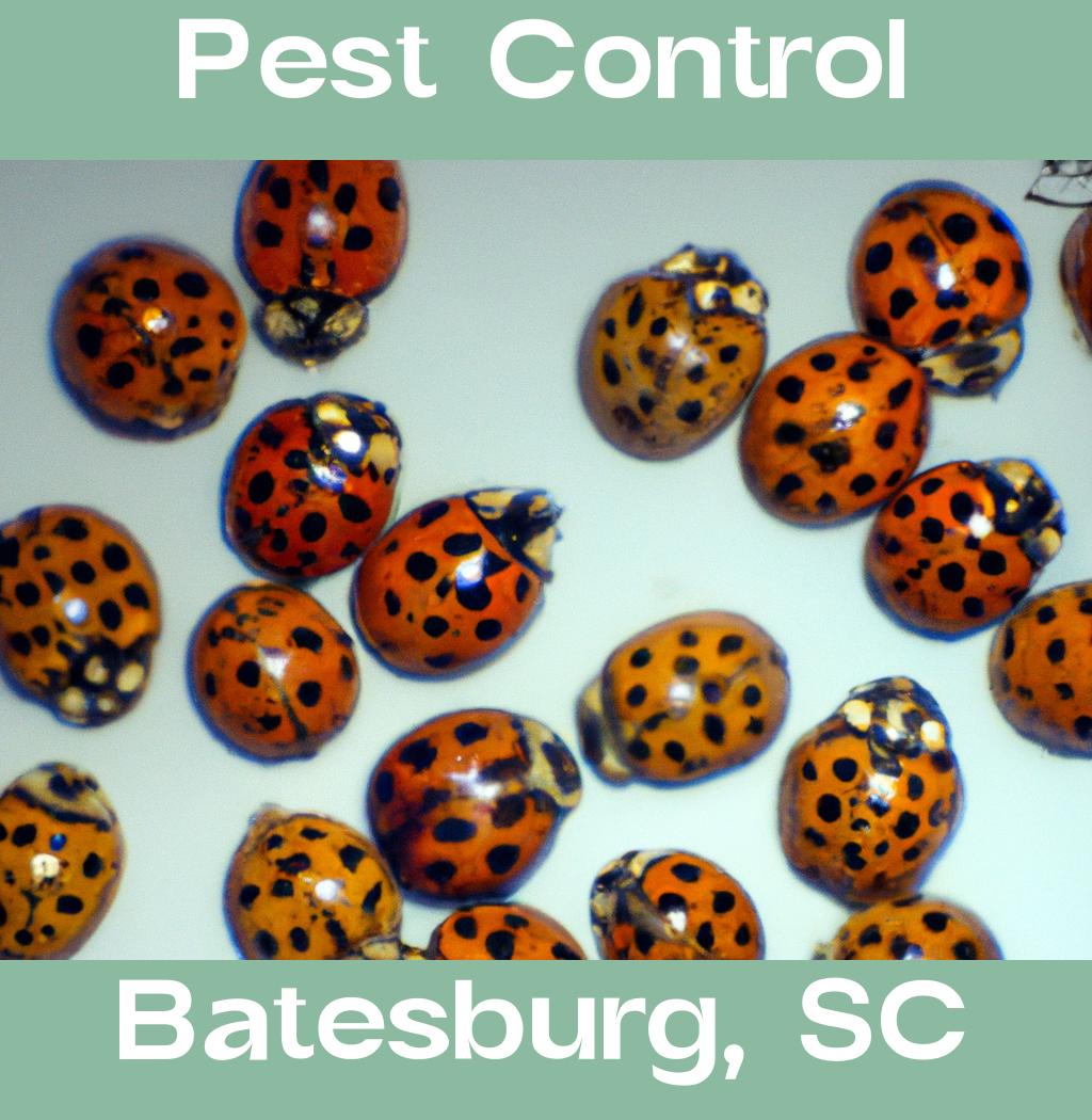 pest control in Batesburg South Carolina