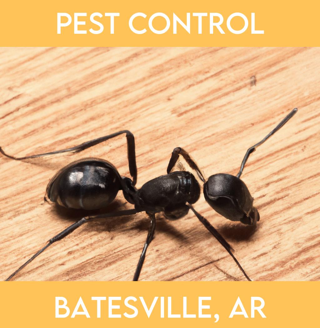 pest control in Batesville Arkansas