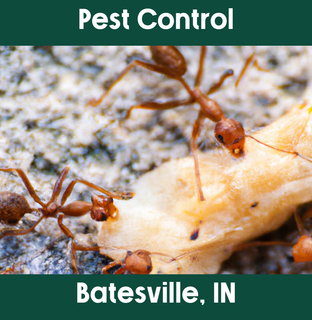 pest control in Batesville Indiana