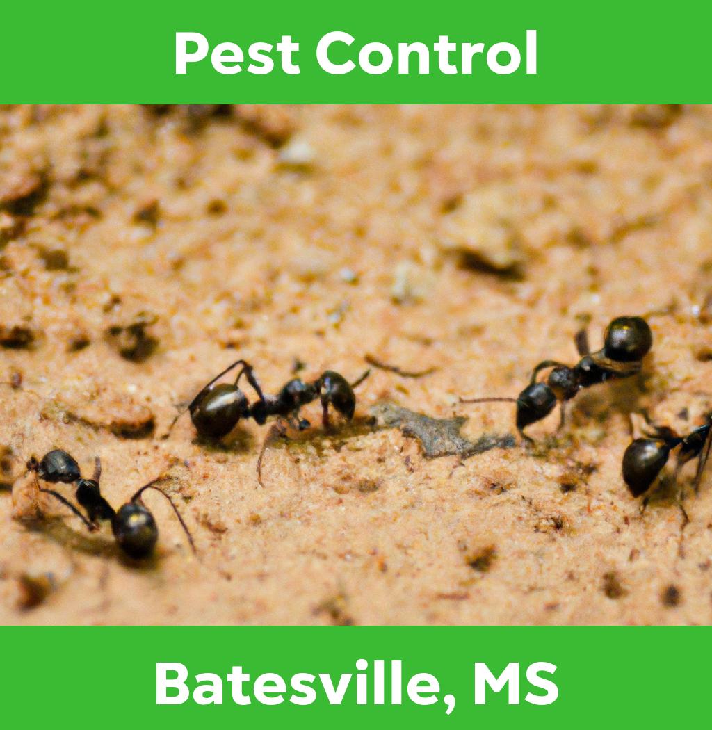 pest control in Batesville Mississippi