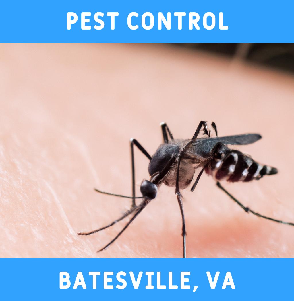 pest control in Batesville Virginia