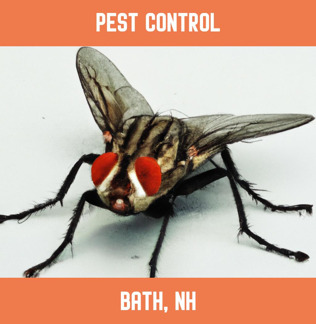 pest control in Bath New Hampshire