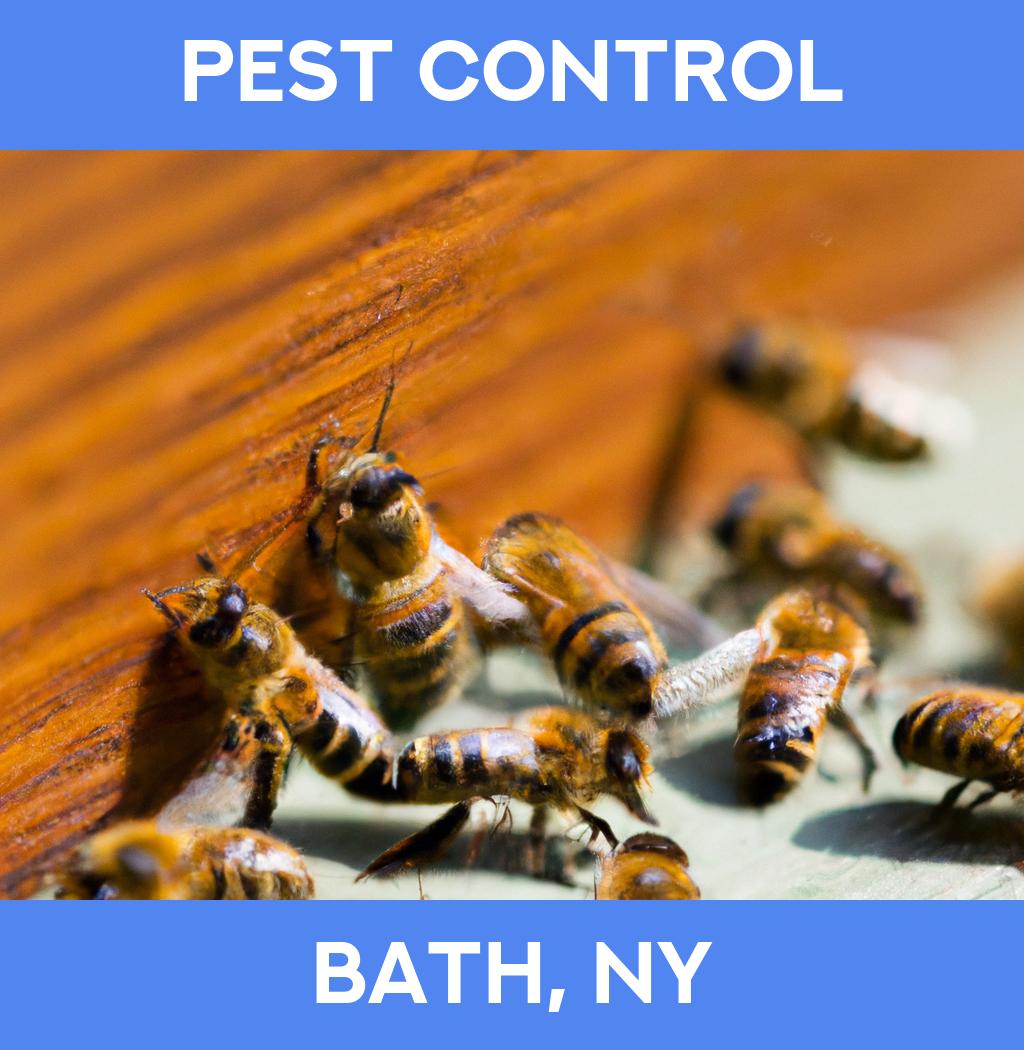 pest control in Bath New York