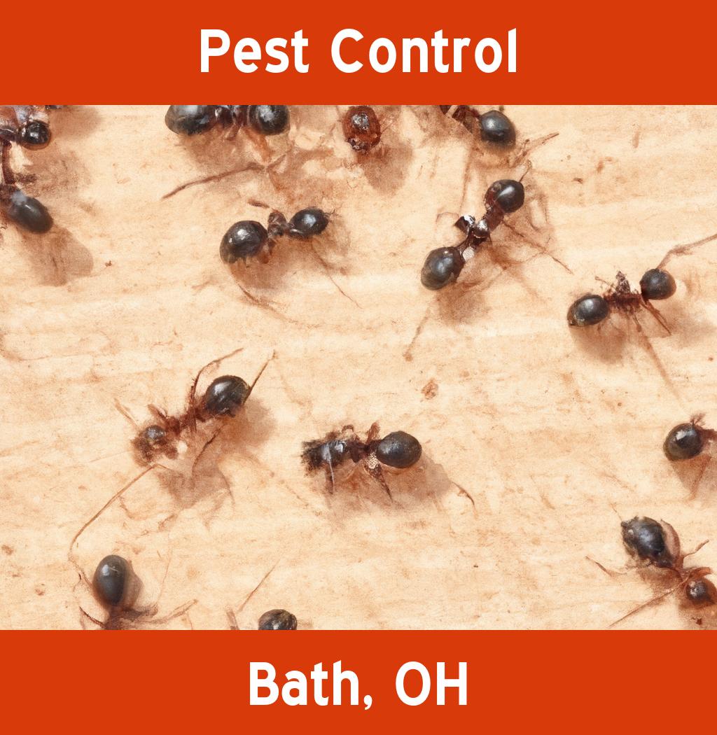 pest control in Bath Ohio