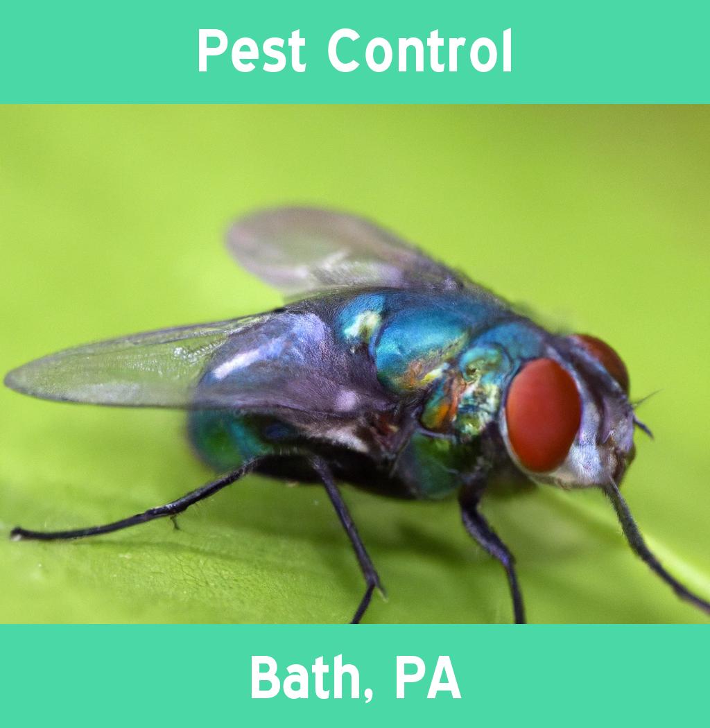 pest control in Bath Pennsylvania