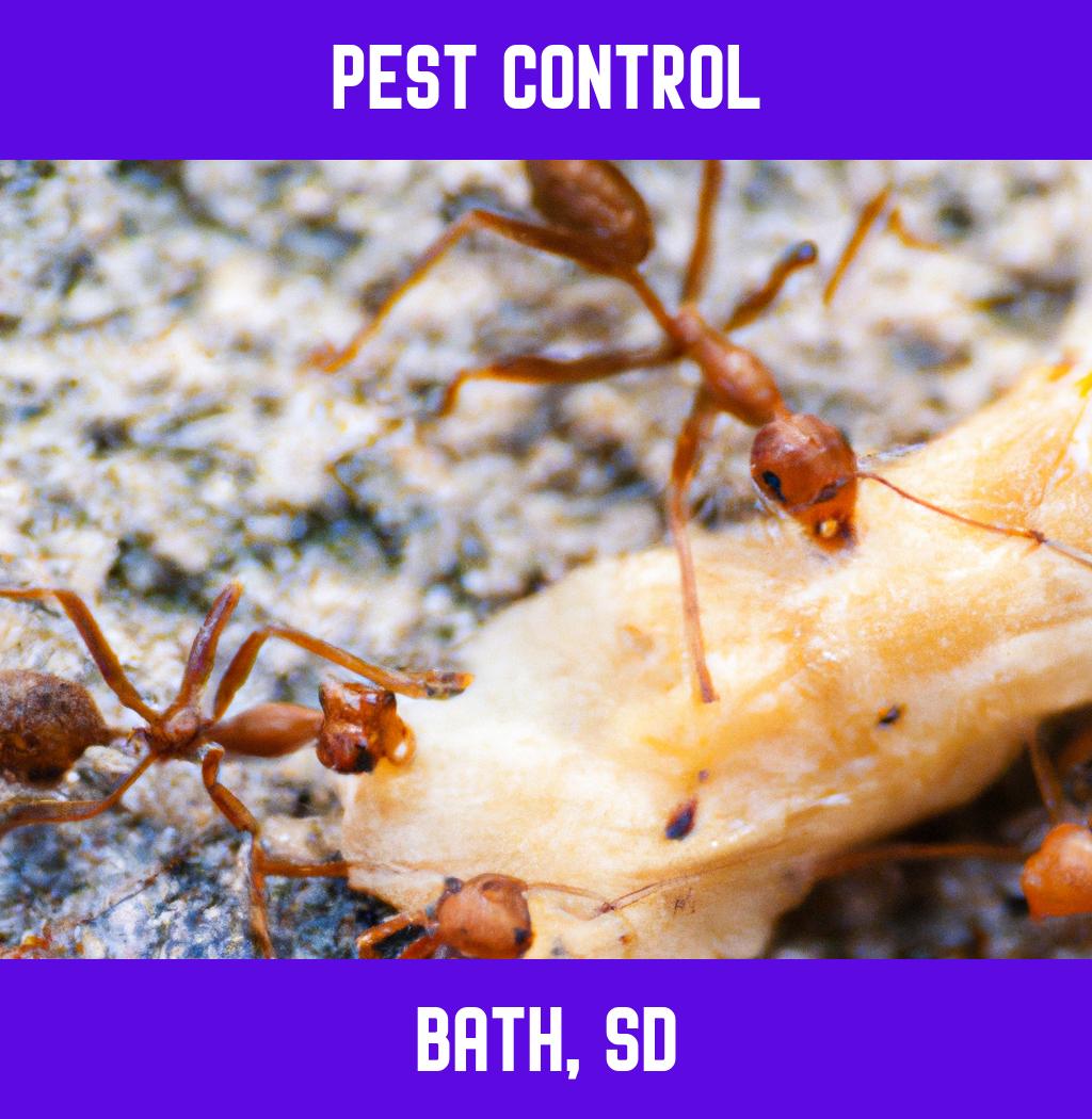pest control in Bath South Dakota