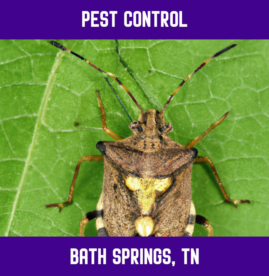 pest control in Bath Springs Tennessee