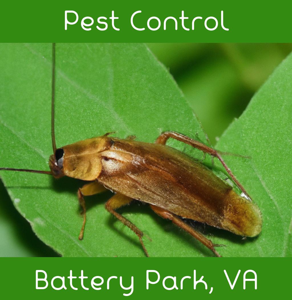 pest control in Battery Park Virginia
