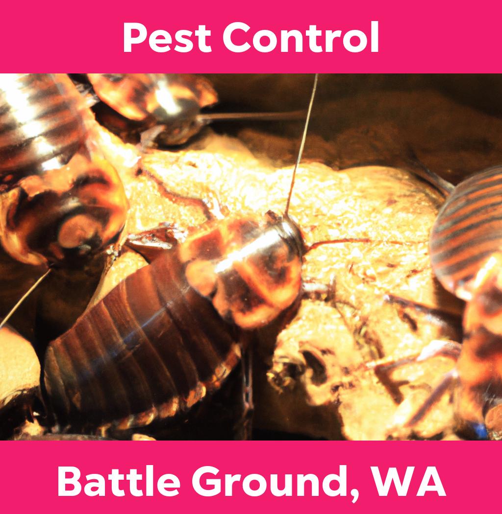 pest control in Battle Ground Washington