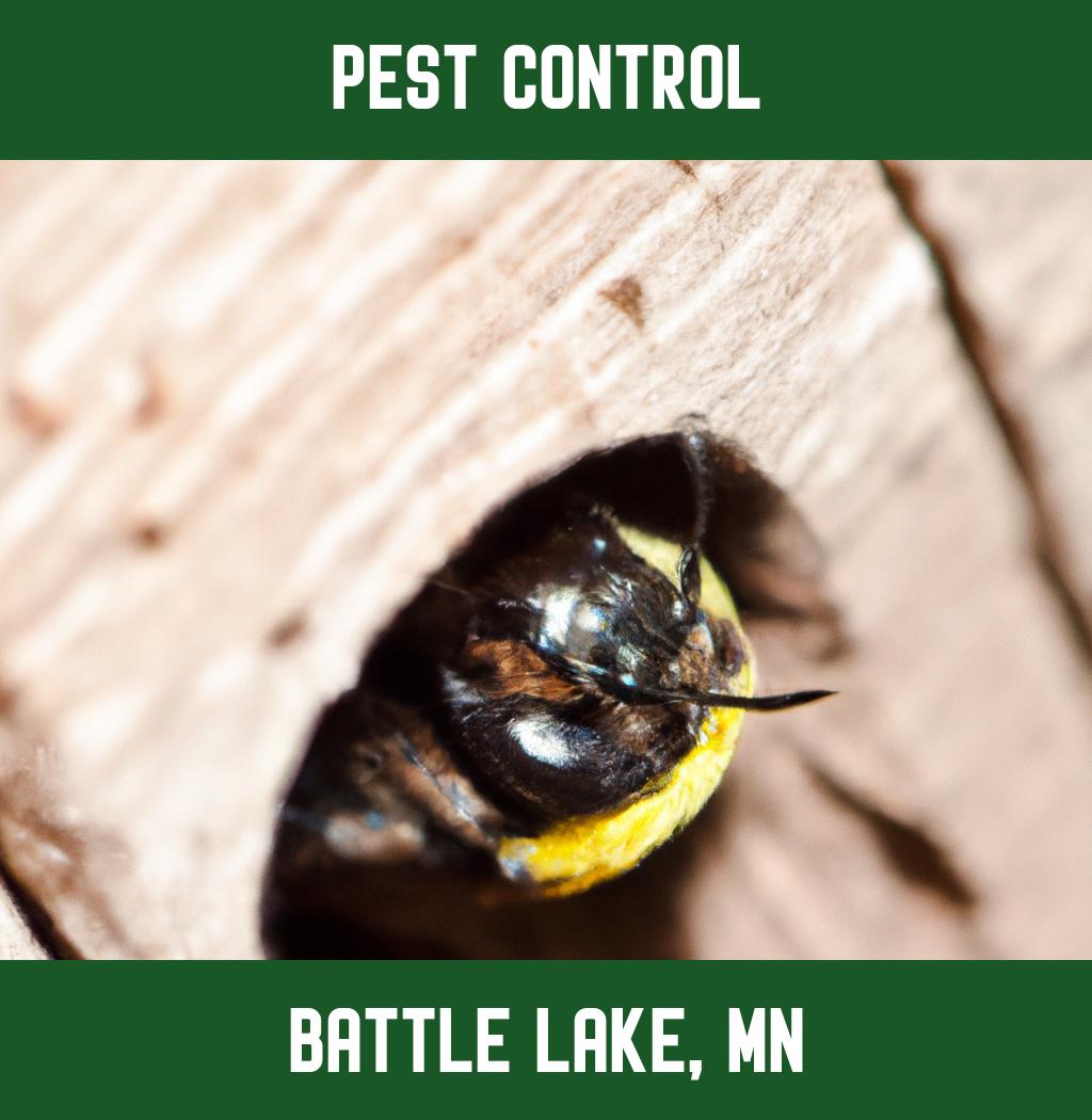 pest control in Battle Lake Minnesota