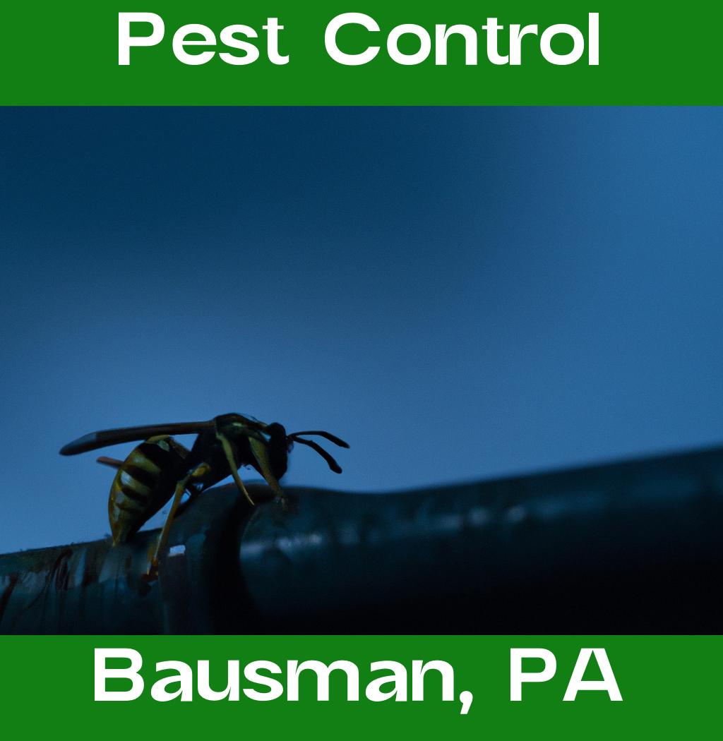 pest control in Bausman Pennsylvania