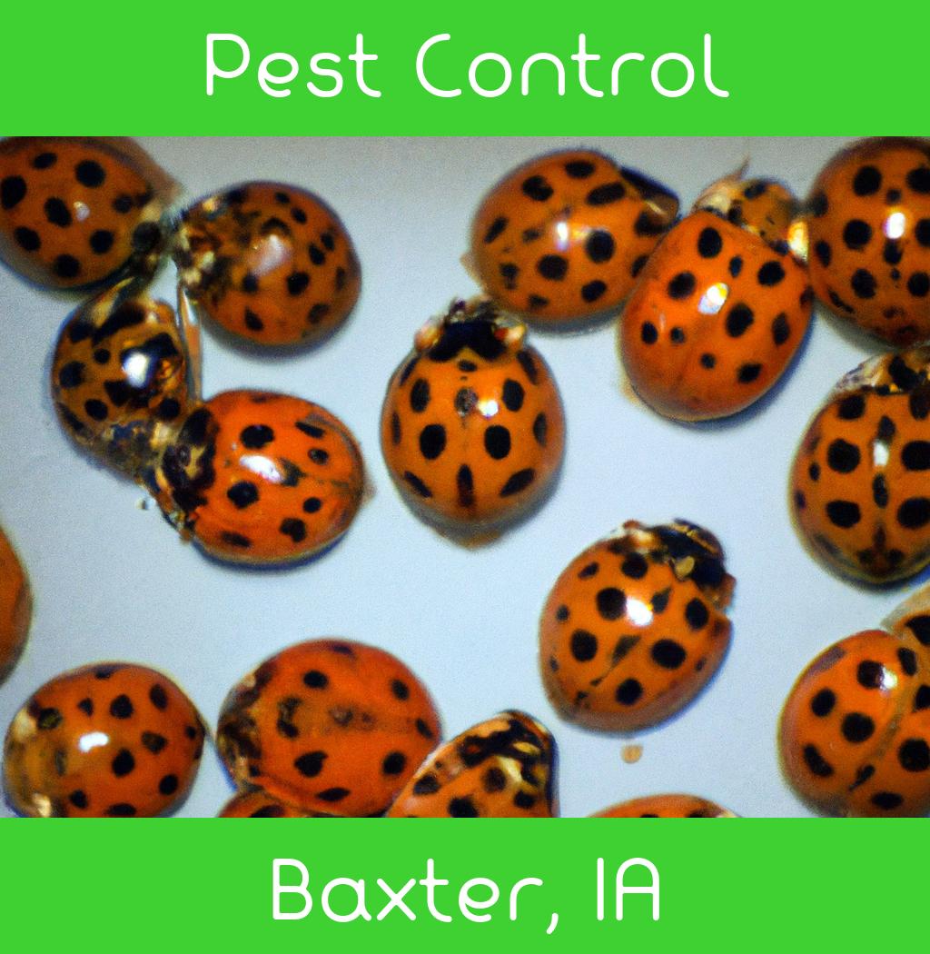 pest control in Baxter Iowa