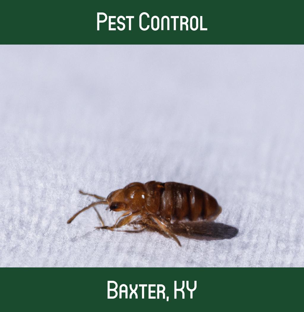 pest control in Baxter Kentucky