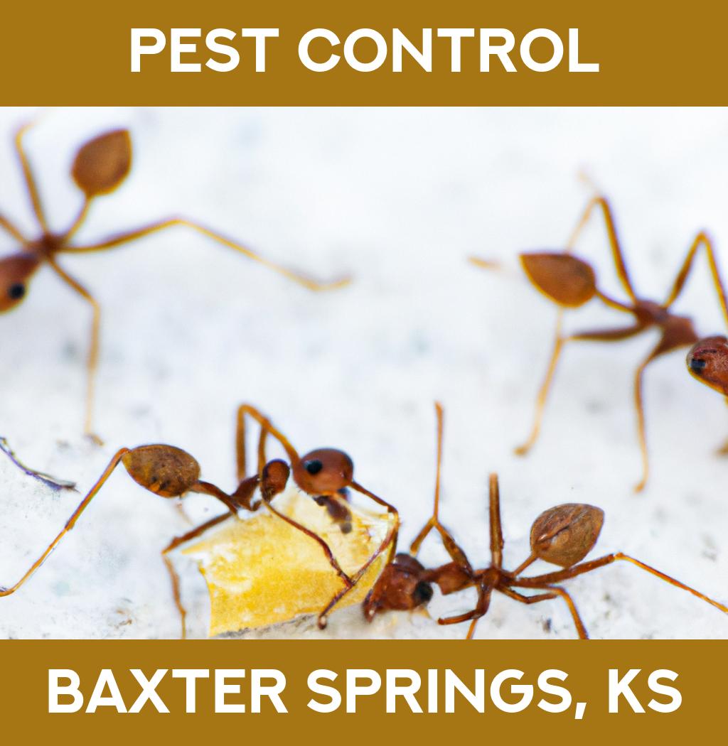 pest control in Baxter Springs Kansas