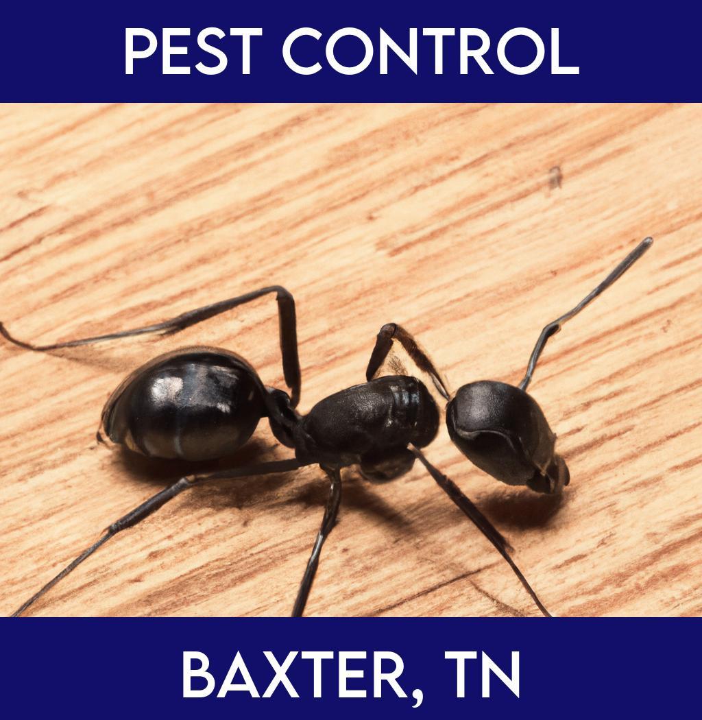 pest control in Baxter Tennessee