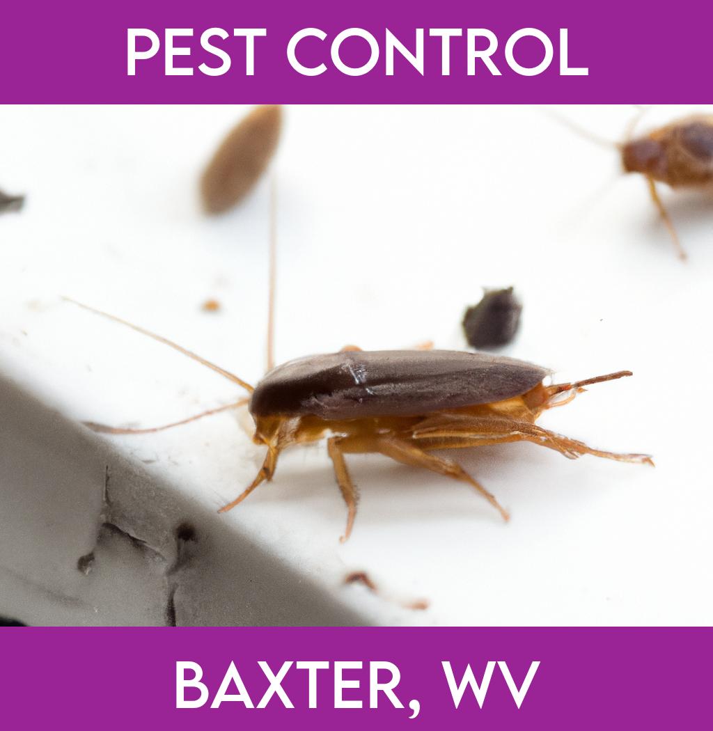 pest control in Baxter West Virginia