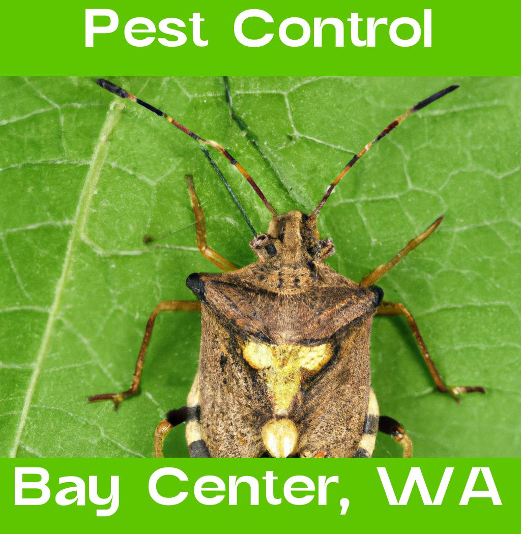 pest control in Bay Center Washington