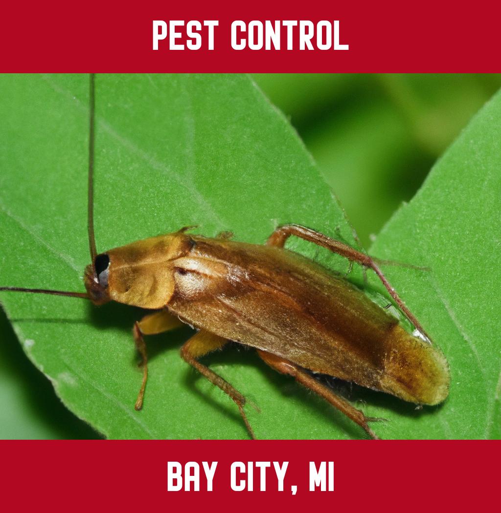 pest control in Bay City Michigan