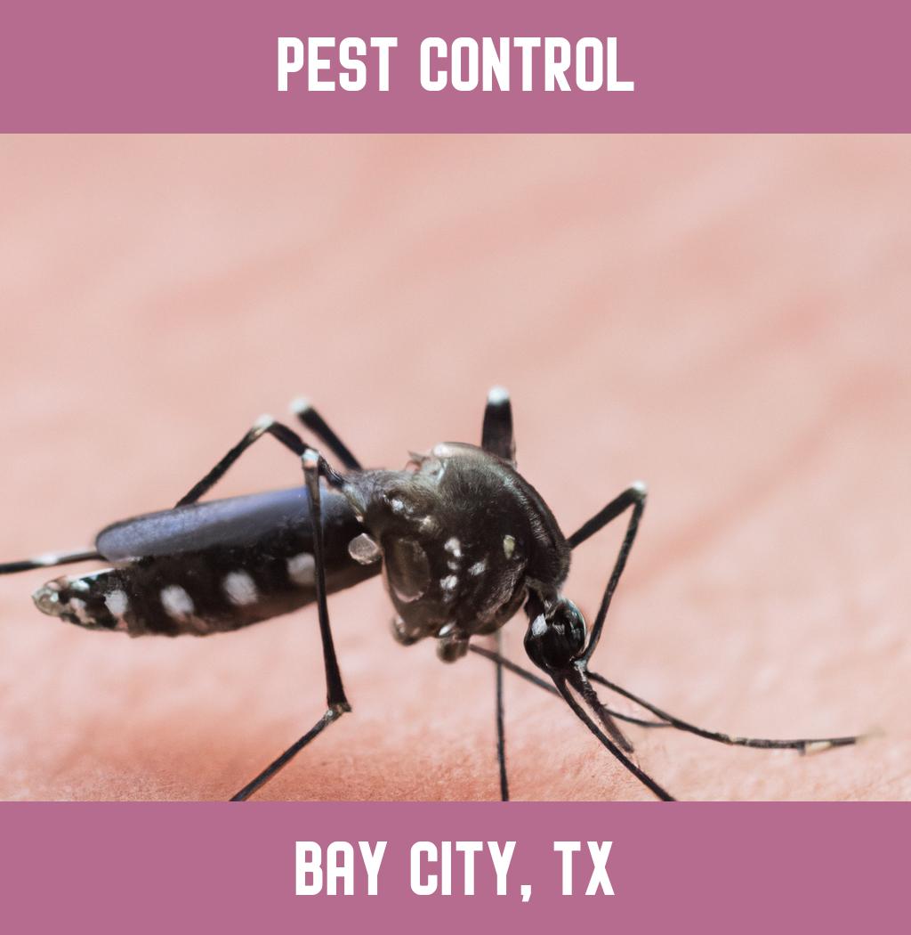 pest control in Bay City Texas