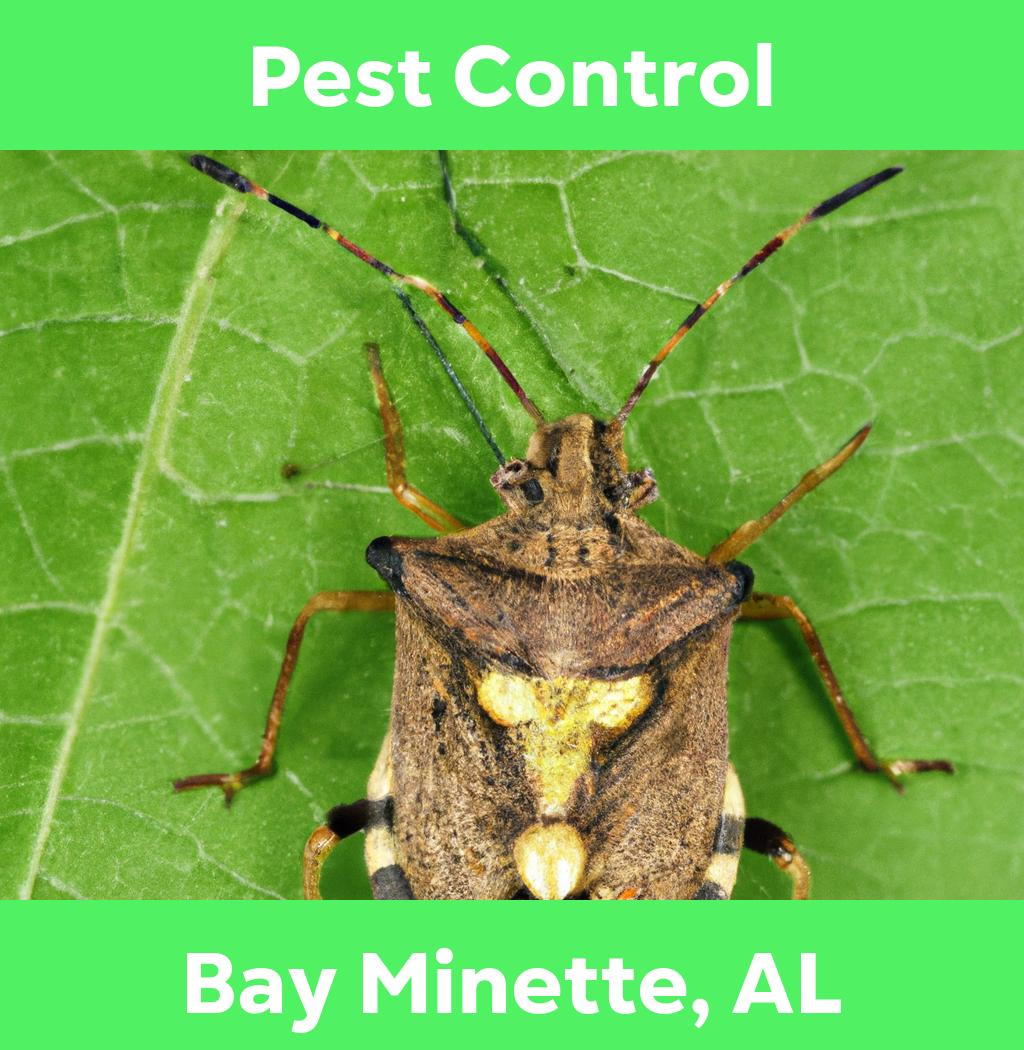 pest control in Bay Minette Alabama