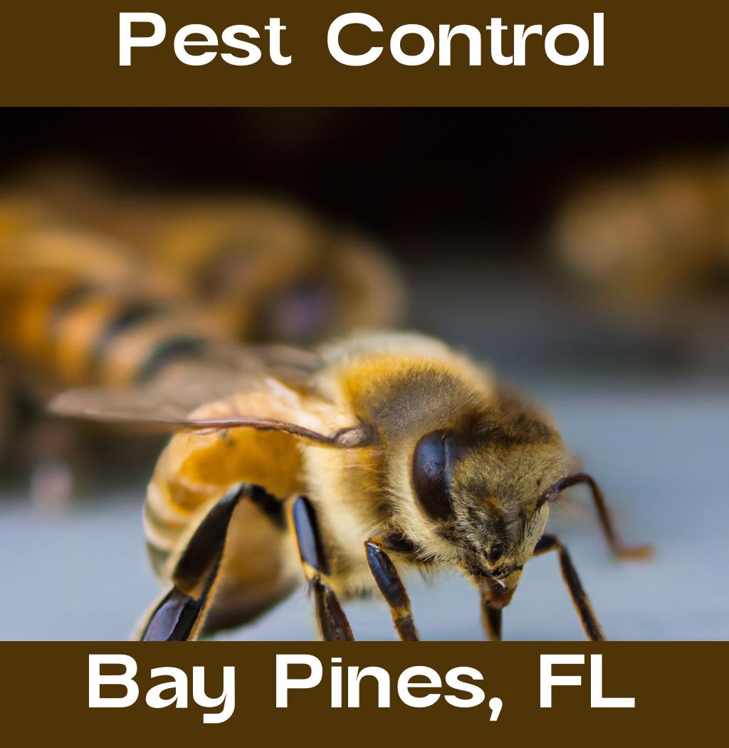 pest control in Bay Pines Florida