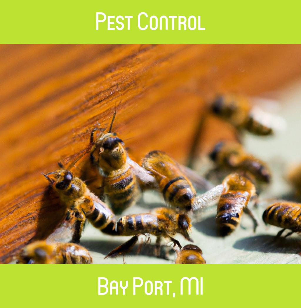 pest control in Bay Port Michigan