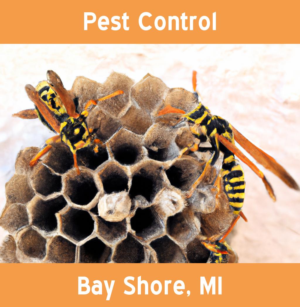 pest control in Bay Shore Michigan