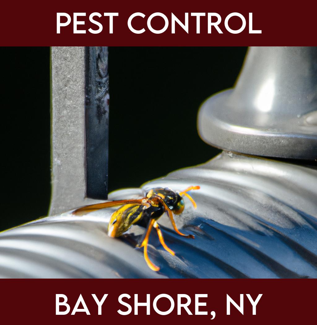 pest control in Bay Shore New York