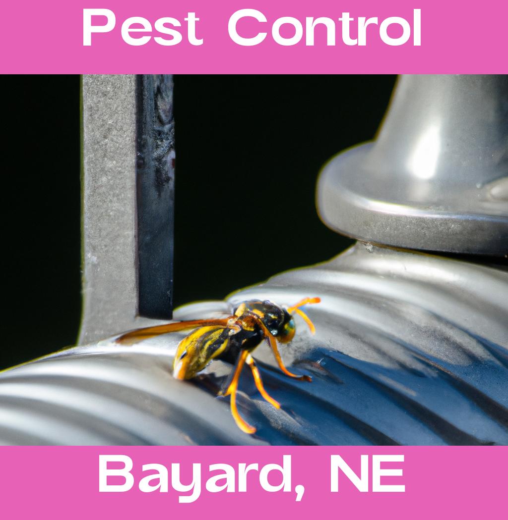 pest control in Bayard Nebraska